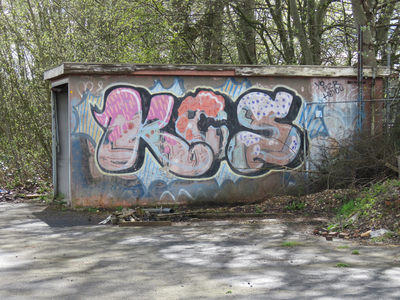 829798 Afbeelding van graffiti op een garagebox, op het terrein van de voormalige werkplaatsen van de N.S. bij de 2e ...